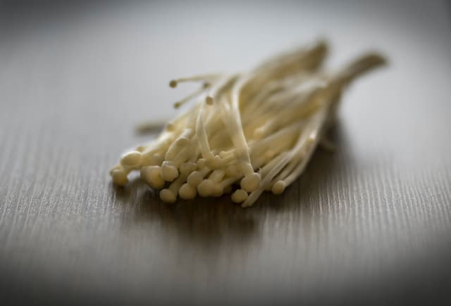 Bahaya Jamur Enoki Yang Bisa Mengancam Jiwa