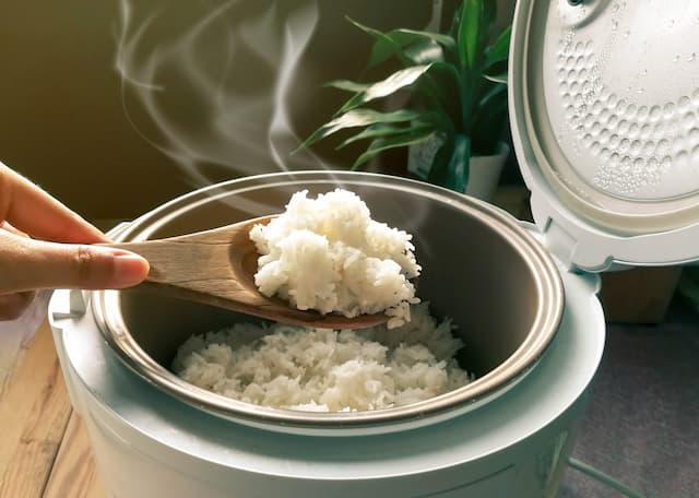 10 rekomendasi rice cooker terbaik 2022